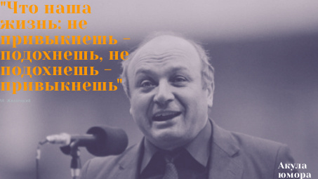 Иллюстрация автора - Акула юмора