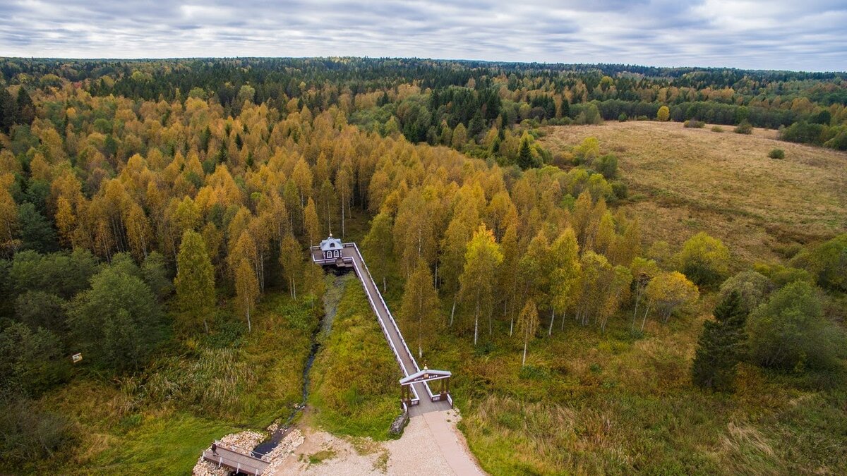 Исток Волги в Осташковском районе