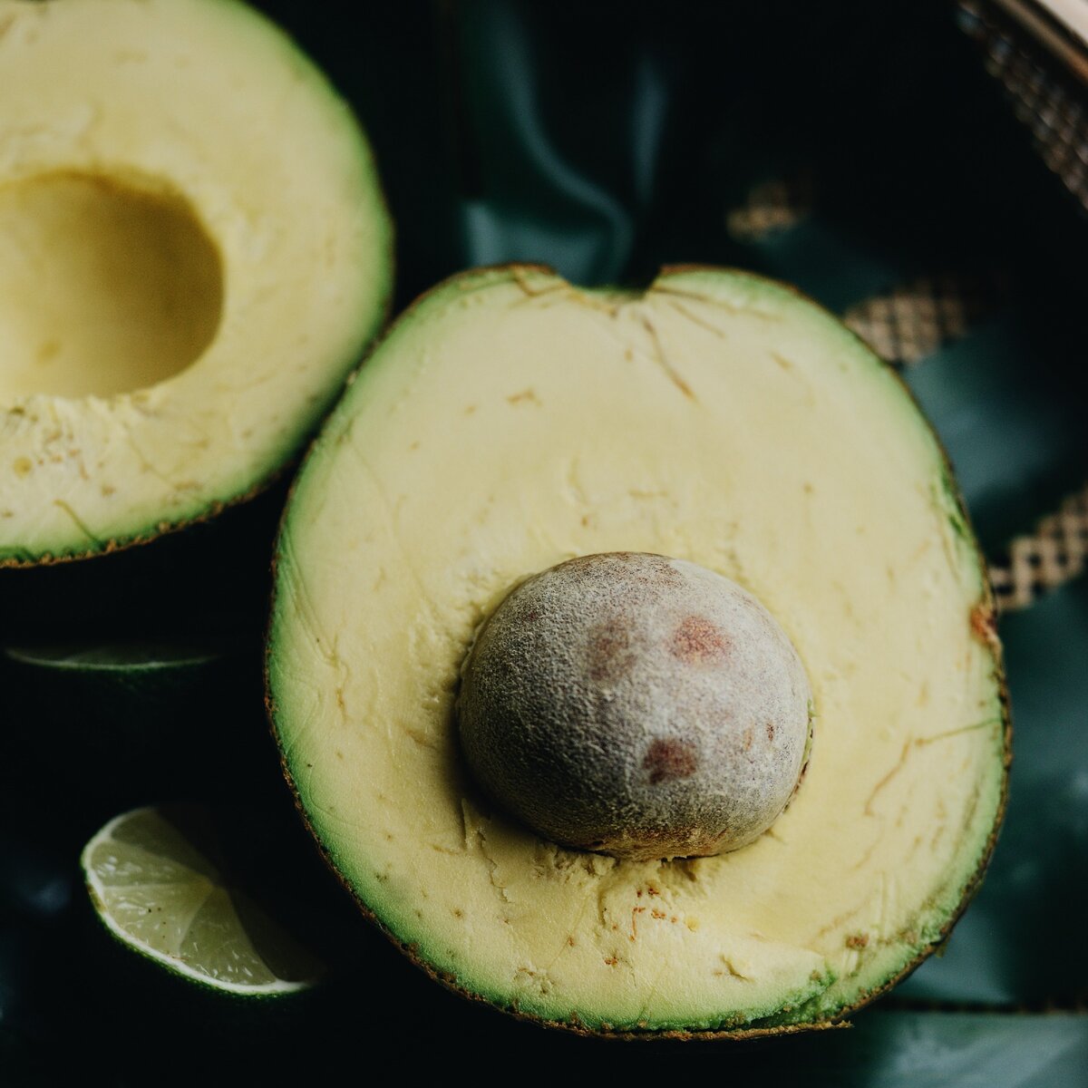 Авокадо Гигант. Фото автора