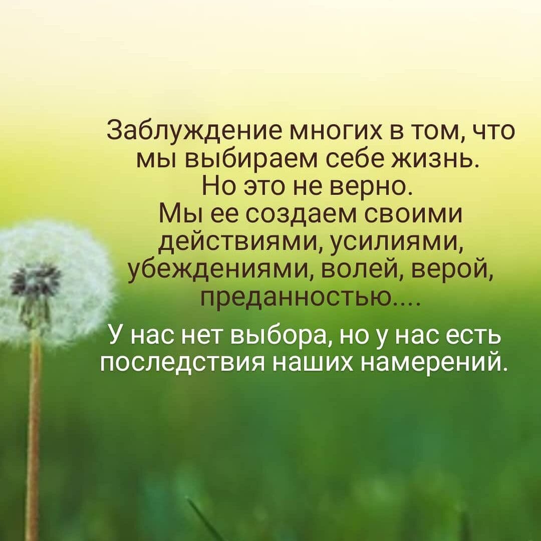Севда Абдуллаева Астролог Джйотиш