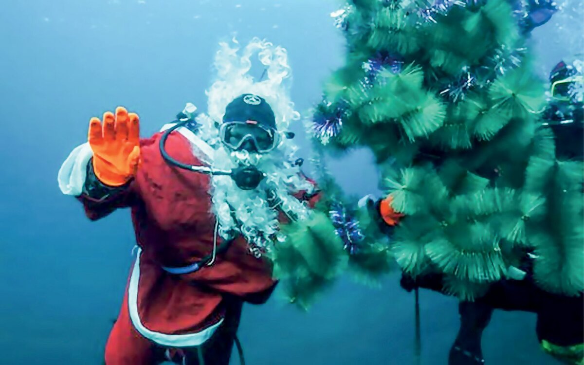 Дед мороз в бассейне. Новый год на морском дне. Водолаз новый год. Подводный мир дэвид миллер. Калуокахина зачарованный риф планетарий.