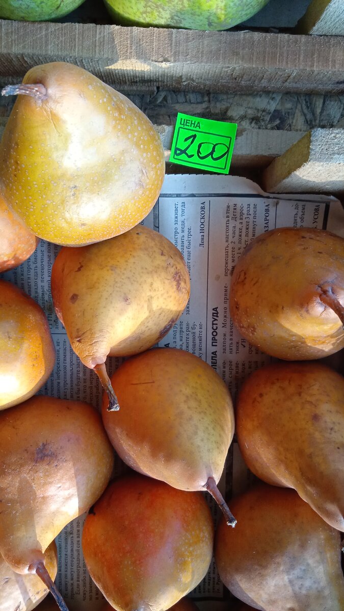 груша местная
