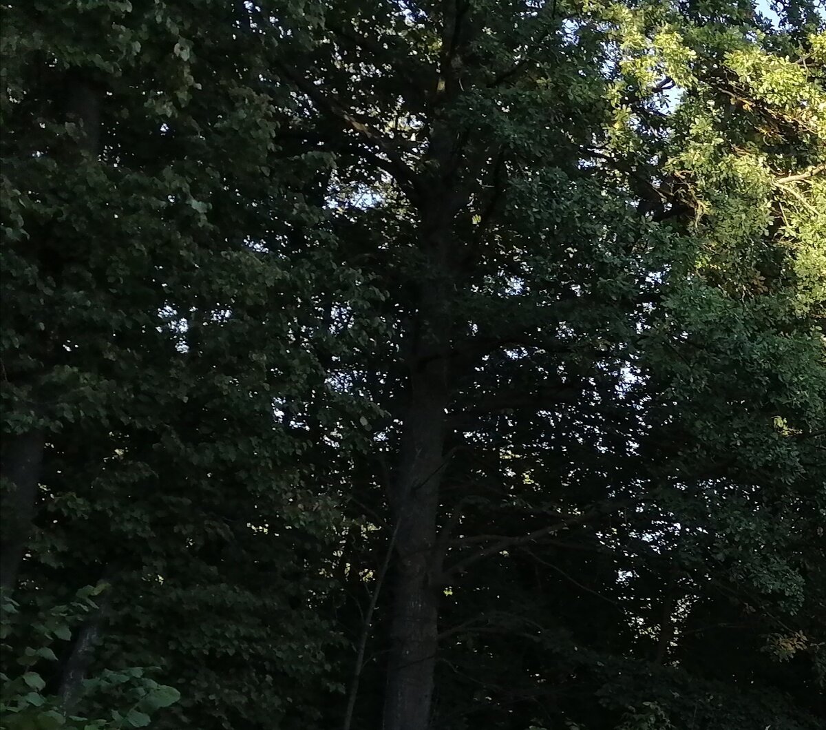 Мир прекрасен и удивителен!