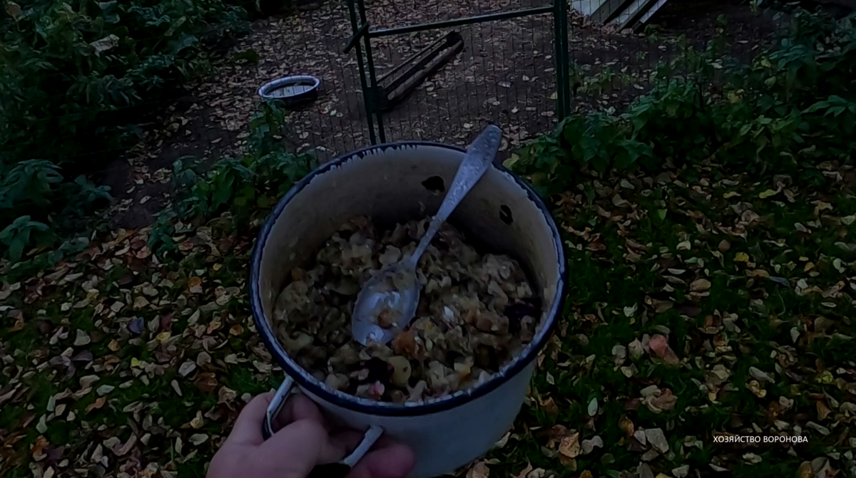 Мешанка для кур