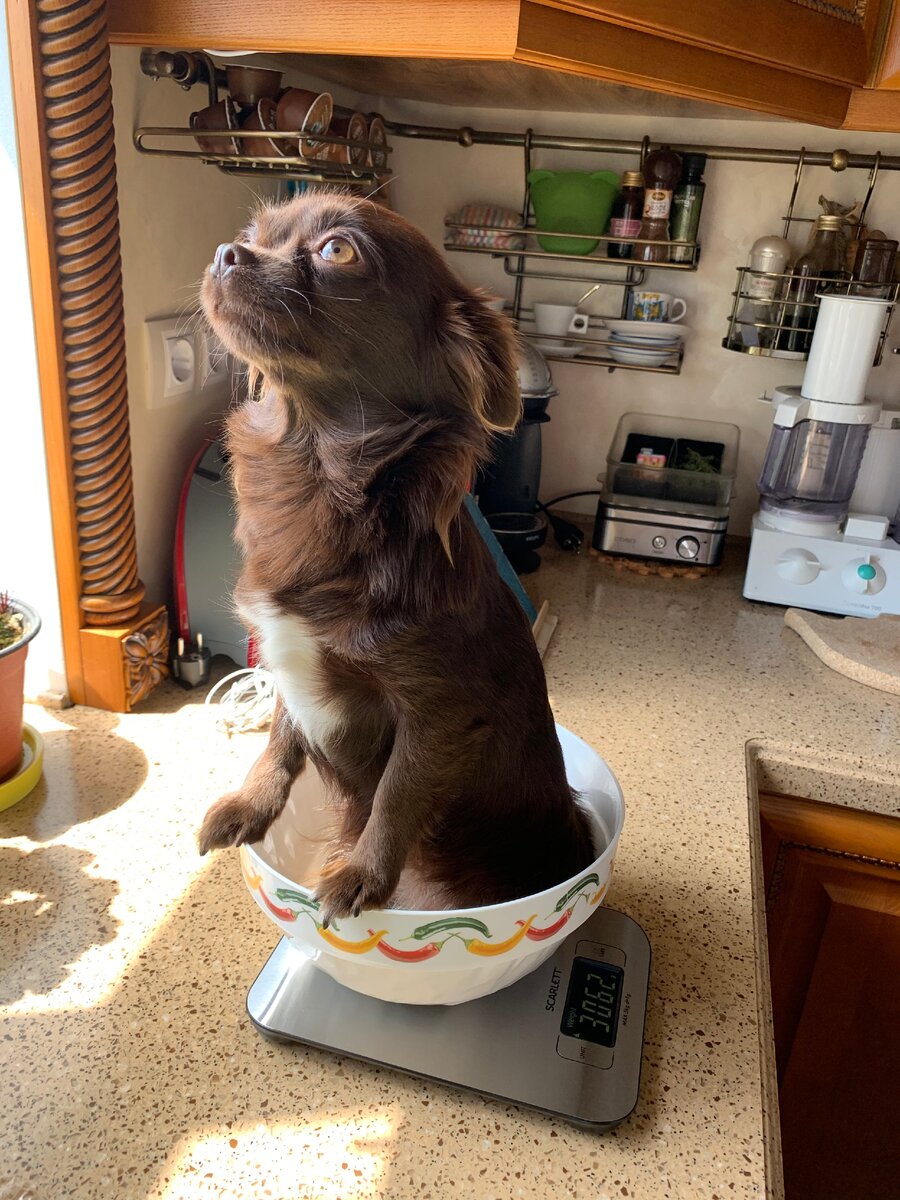 Сидит как пасочка)