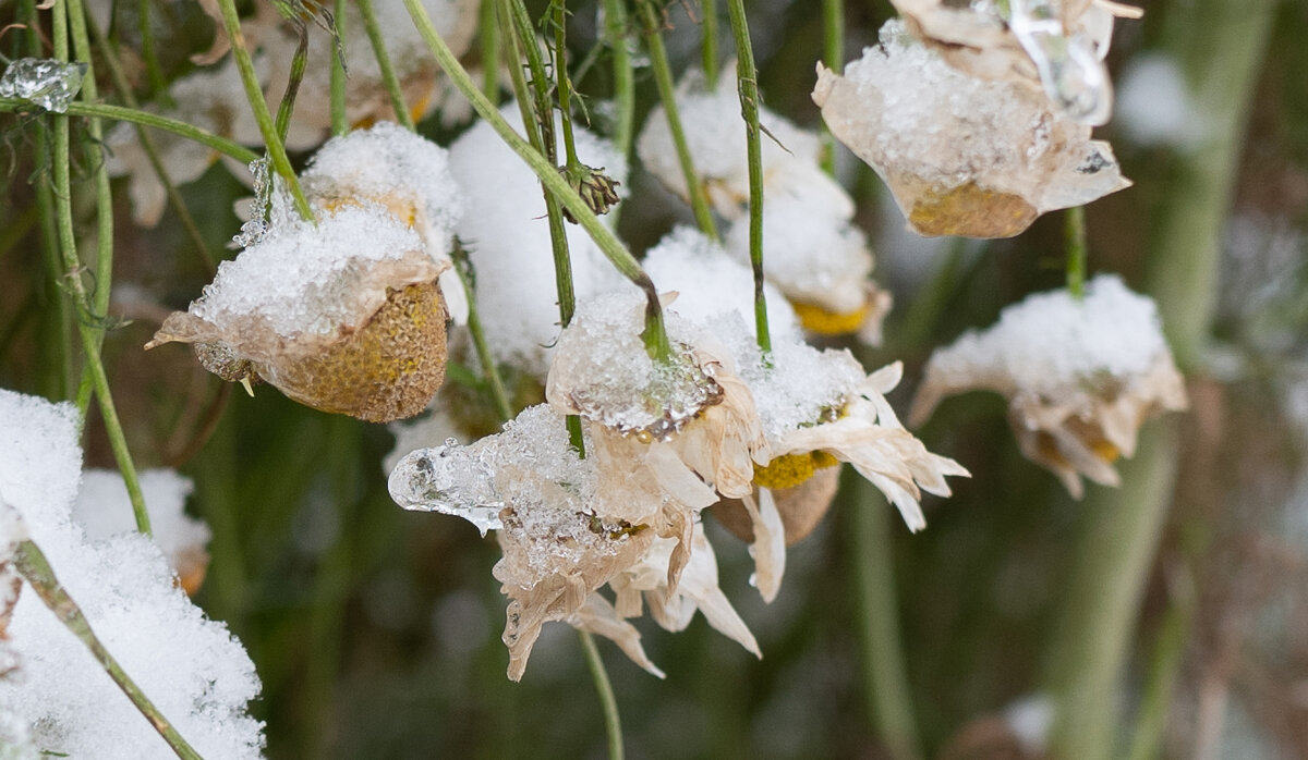100% приближение кадра