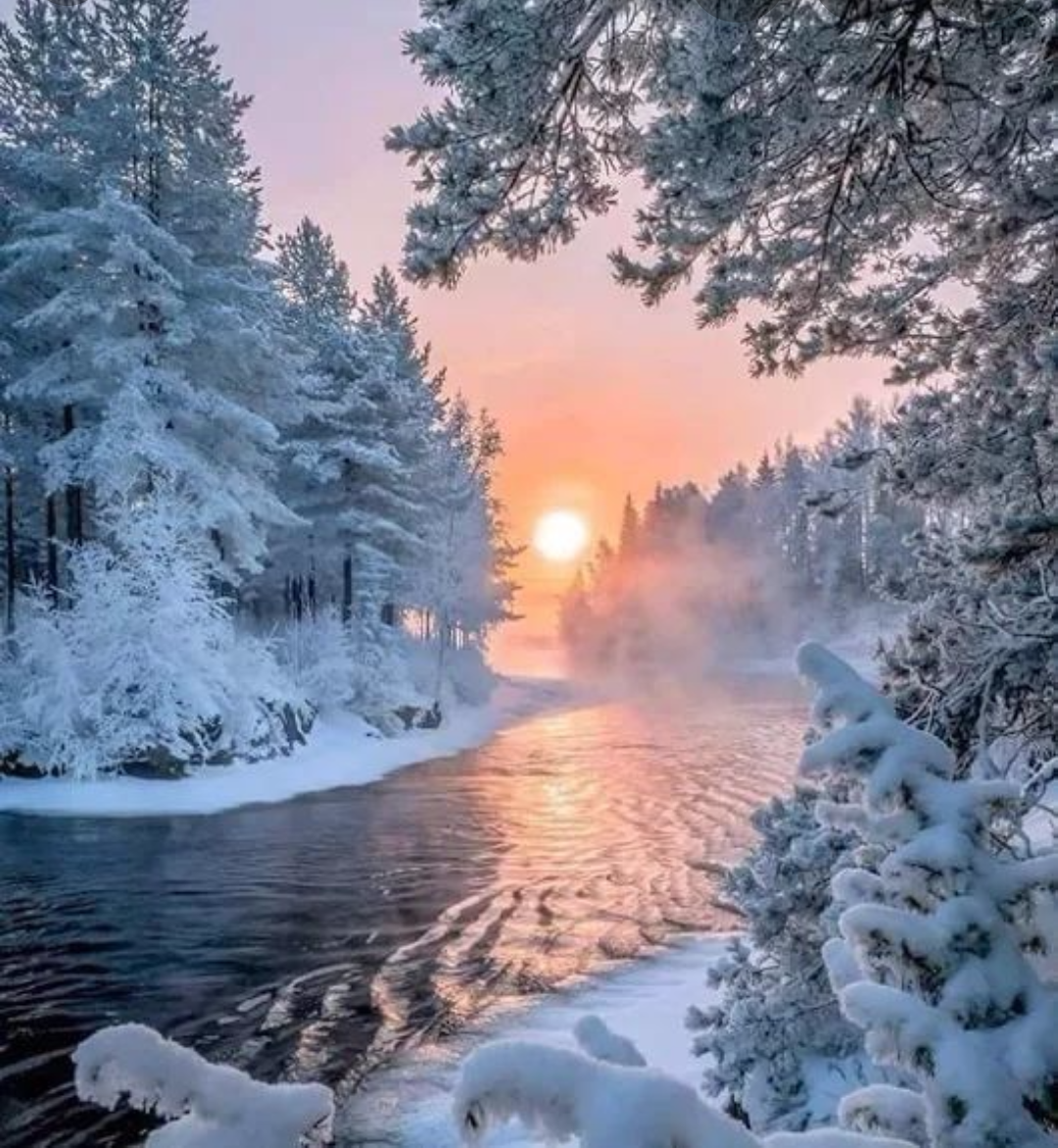 https://images.app.goo.gl/nwtNDo9vQeLYyXvJ8