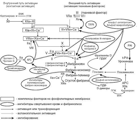 А вообще, забудьте  пластырях - на самом деле система свертывания выглядит так! И это еще упрощенная схема. Источник: Яндекс.Картинки