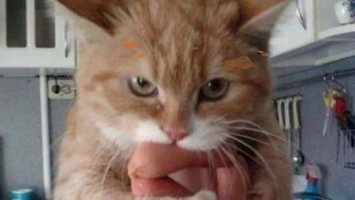                                                                            НИКОМУ НЕ ОТДАМ МР-МЯ-У