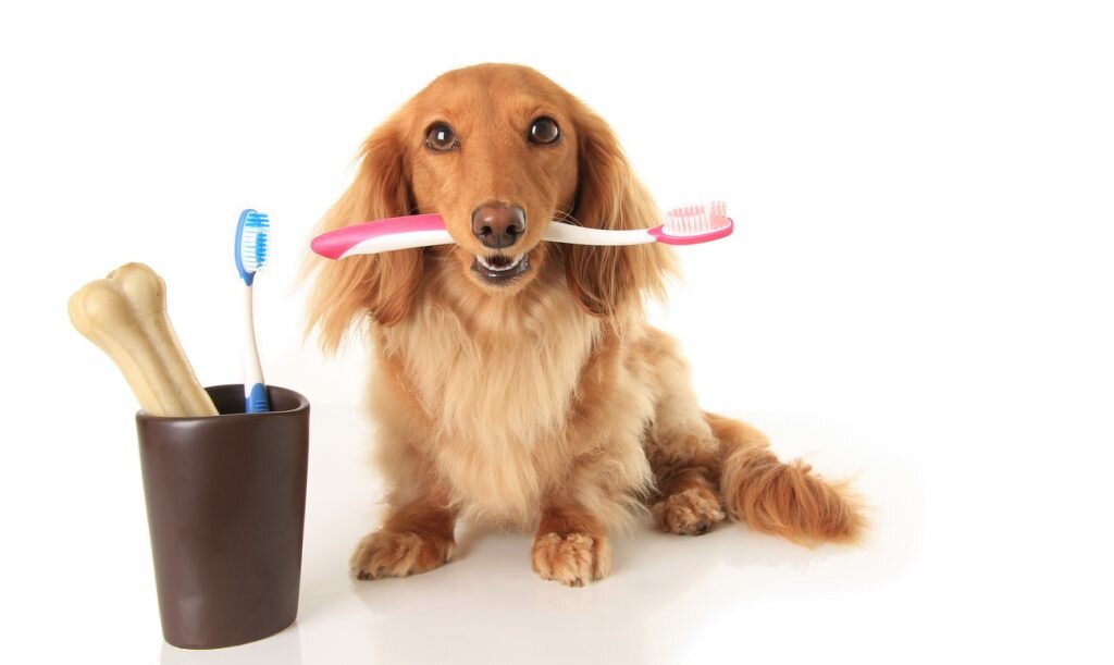 Фото для иллюстрации. Источник Яндекс Картинки.