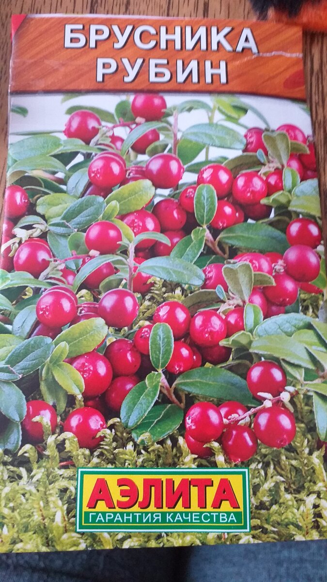 Фото мое. Выписала по интернету.