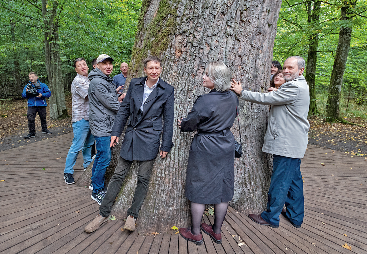 Старинный дуб не обхватить  и вдесятером. Главное – прикоснувшись к нему, загадать желание