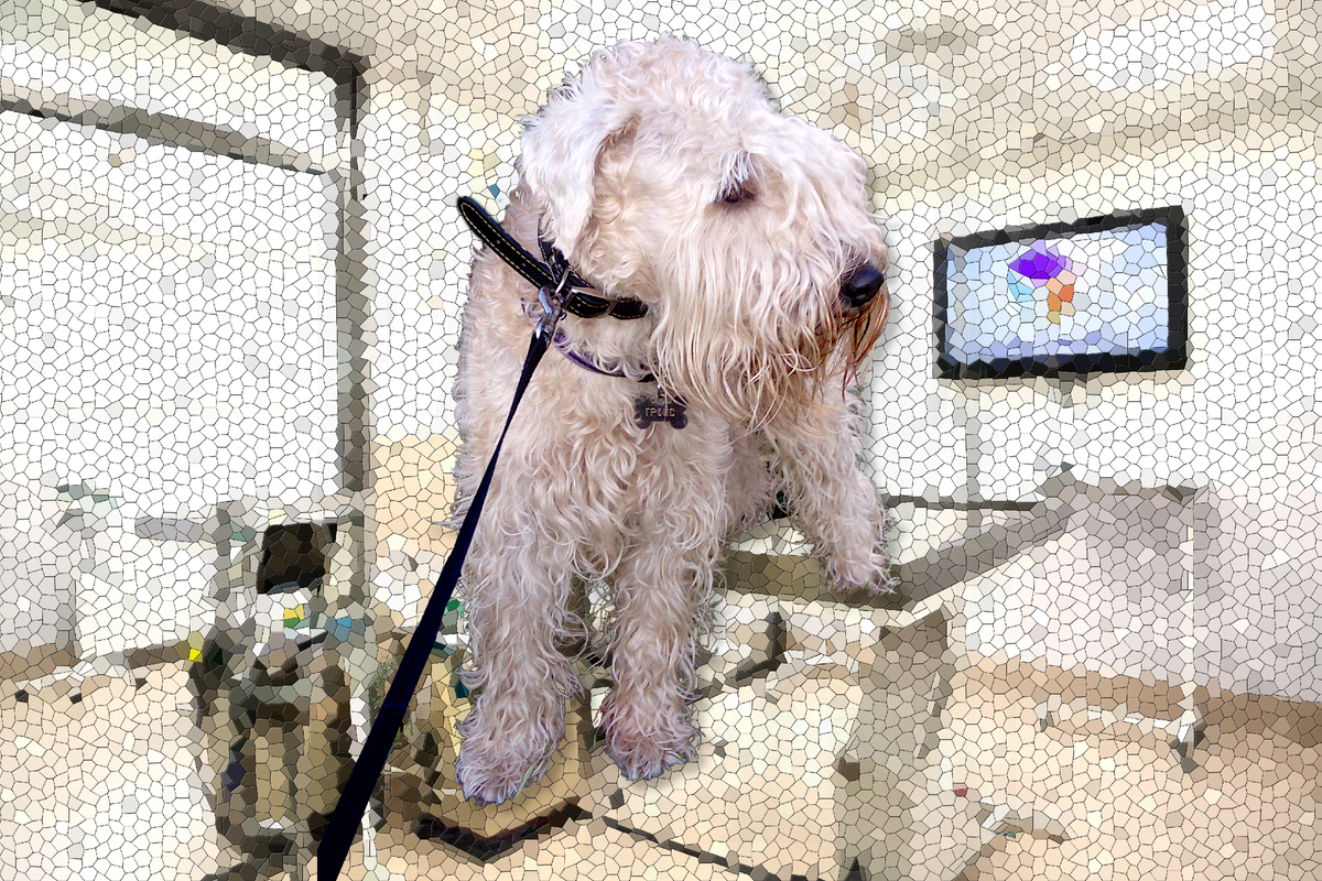 Изображение: здесь и далее изображения автора