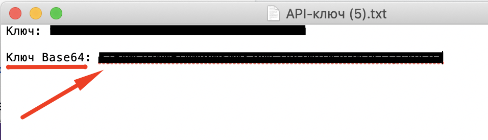 Ключи txt. АПИ ключ вайлдберриз. API ключ на вайлдберриз что это. API токен Wildberries. Формат ключа Wildberries base64.