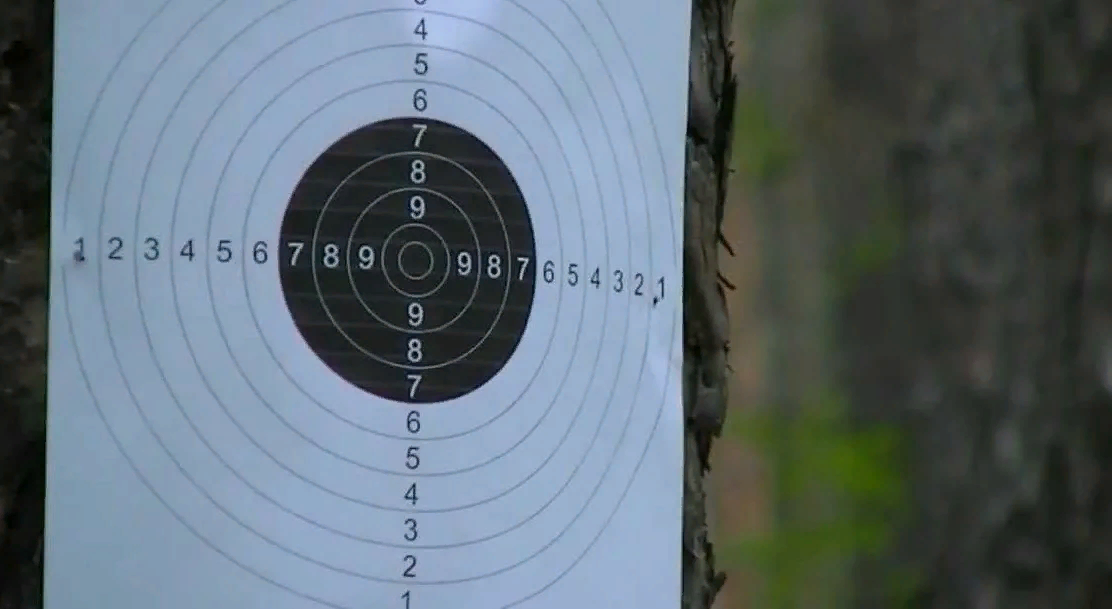 Мишени в лесу. Источник: Яндекс Картинки