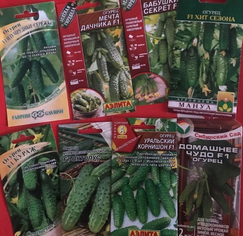 Источник фото https://www.instagram.com/p/CIdHWt3DTYM/