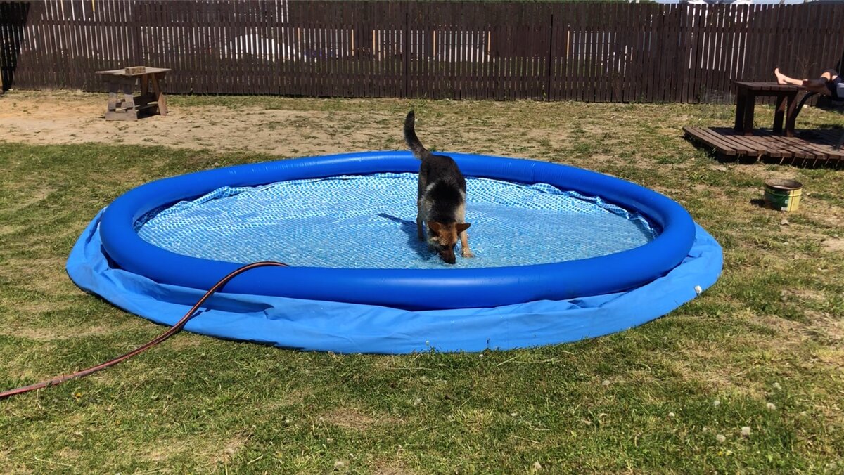 Постоянно нужно приподнимать, чтобы губкой или струей воды протереть стенку