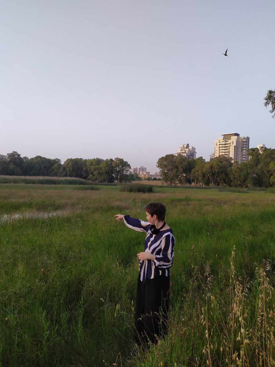 Прогулка в парке Зимнее озеро