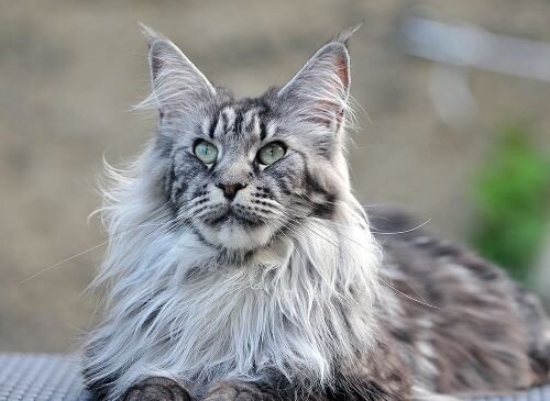 фото из интернета