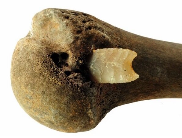 Первая находка археологов на берегу Толлензе. Фото из открытых источников.