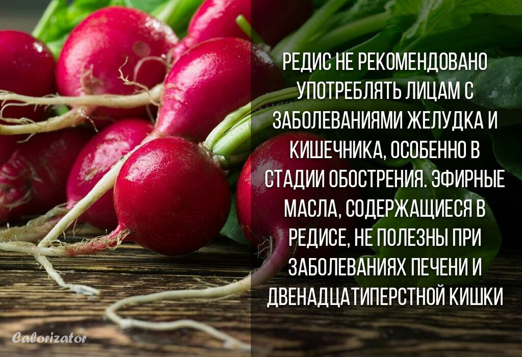 Редис польза для организма. Полезные вещества в редиске. Чем полезен редис для организма. Редиска при диабете. Что содержится в редиске полезного.