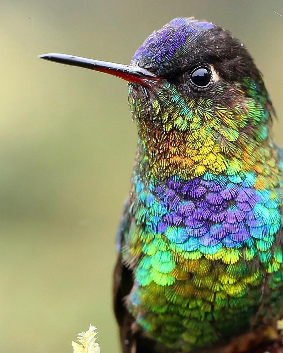 ЯНДЕКС-ФОТО