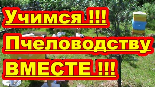 Начинающий пчеловод ! Учимся пчеловодству Вместе !!!