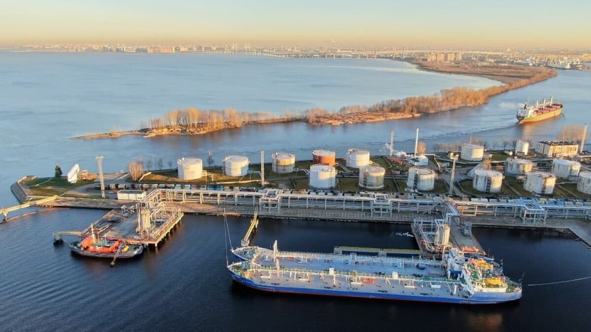 Торговый порт санкт петербург
