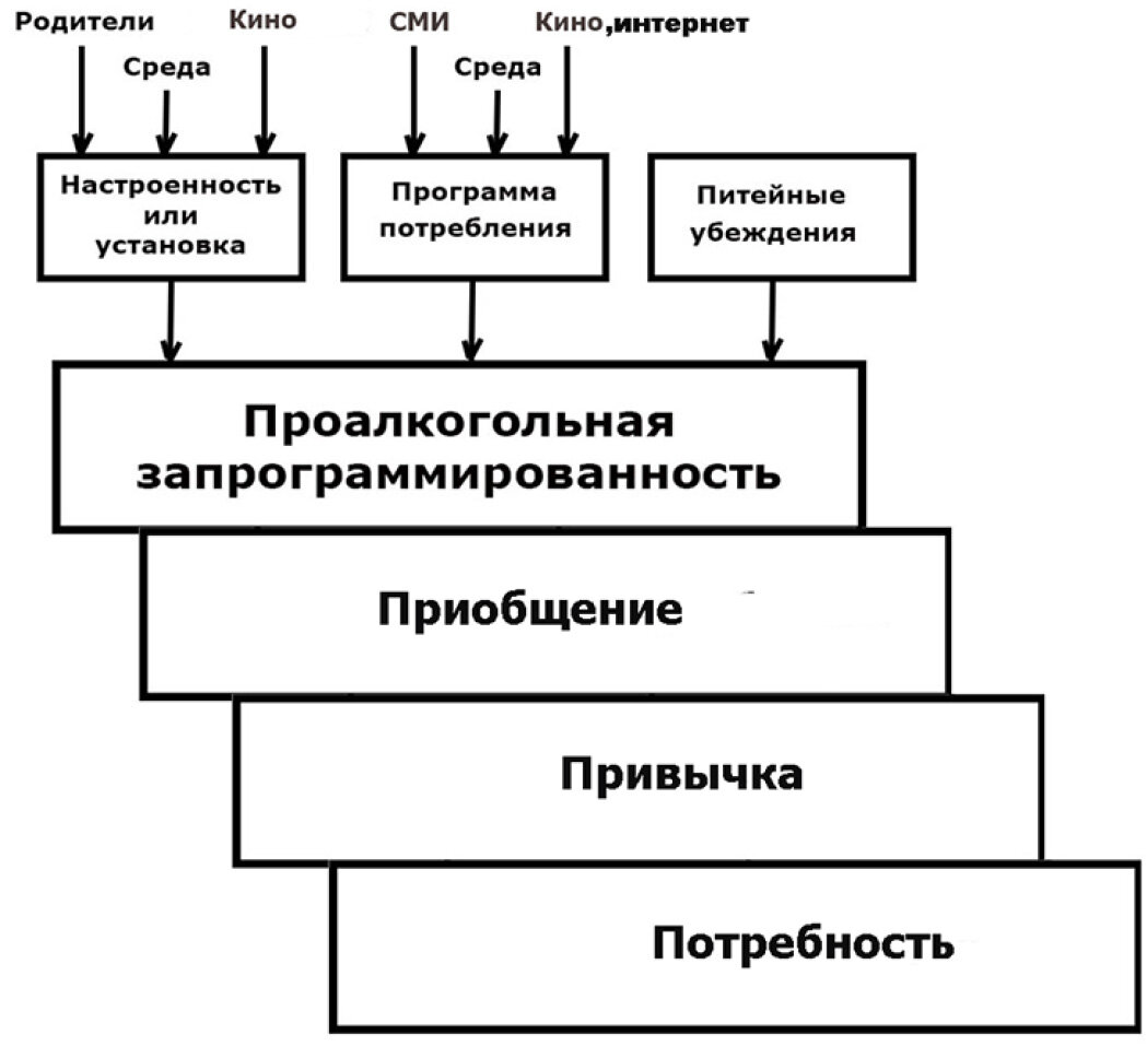 Лекция 2. Лестница Шичко – надёжный выход из алкогольно-табачных проблем |  ЗОЖ трезвость зрение | Дзен