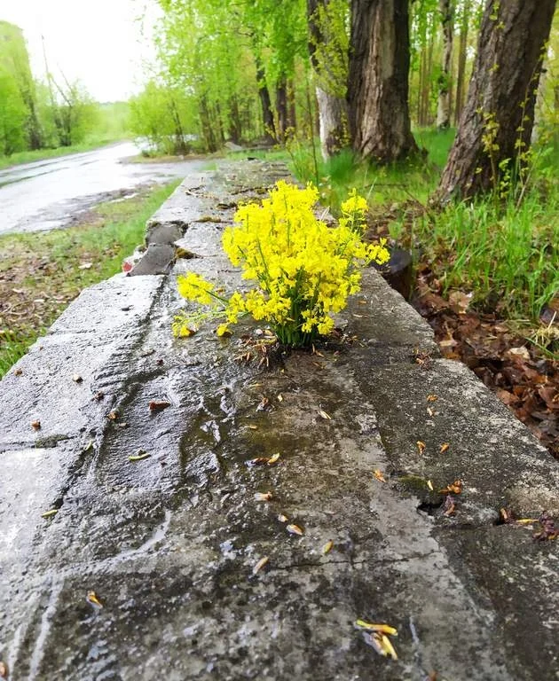 Фото автора.Маленький городок,тихий рай.
