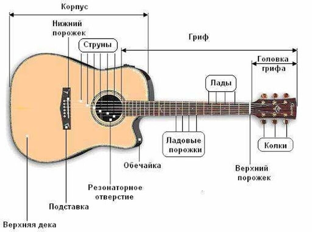 Составляющие гитары