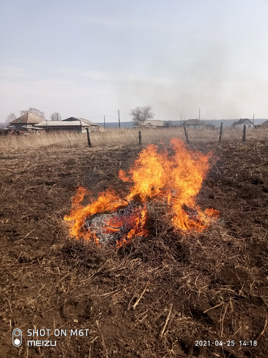 фото из личного архива