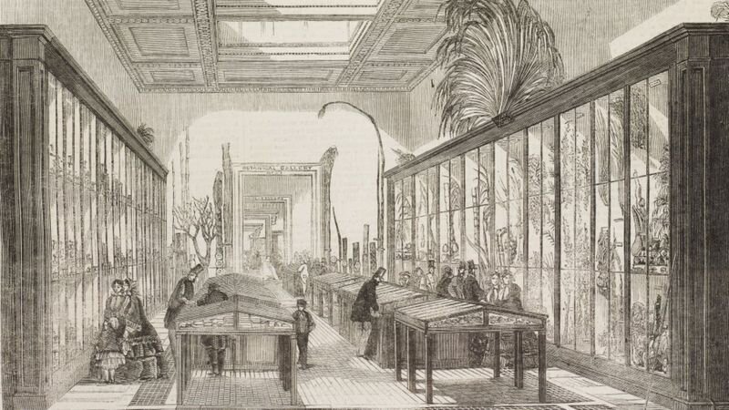 Зал ботаники Британского музея, 1858 год