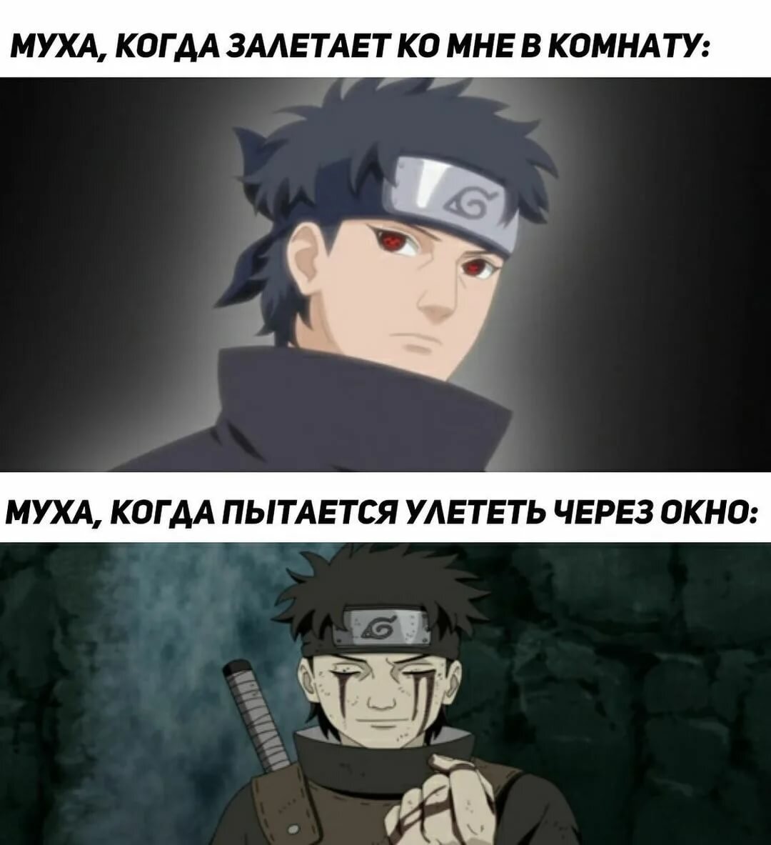 Если честно, я не знаю сколько уже подборок с мемами я опубликовал, но одно...