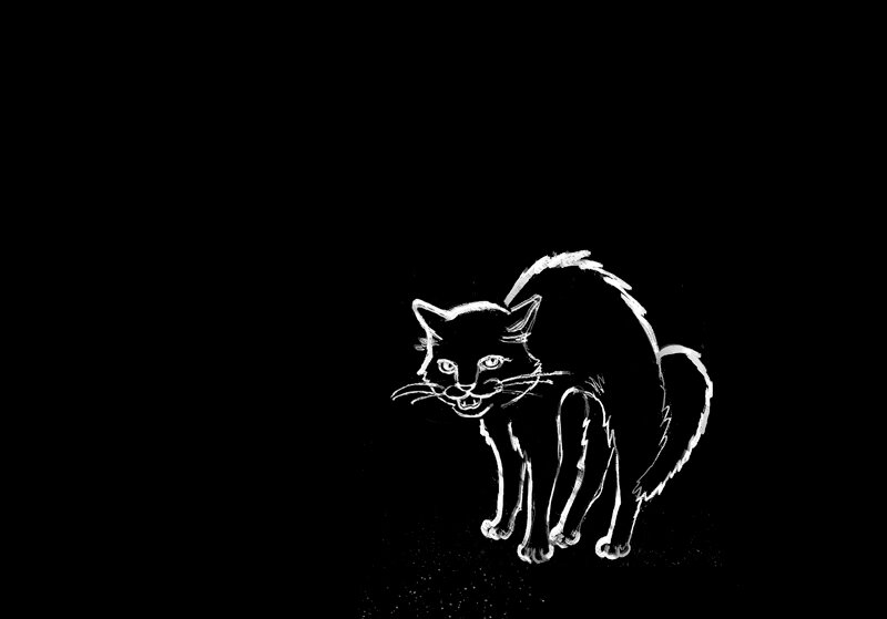 Кот Шрёдингера.
