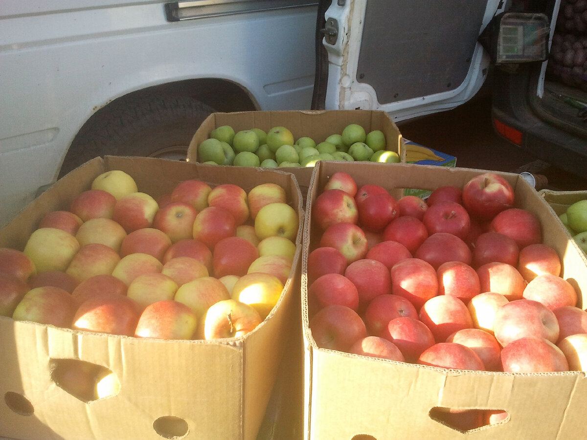 Фото автора