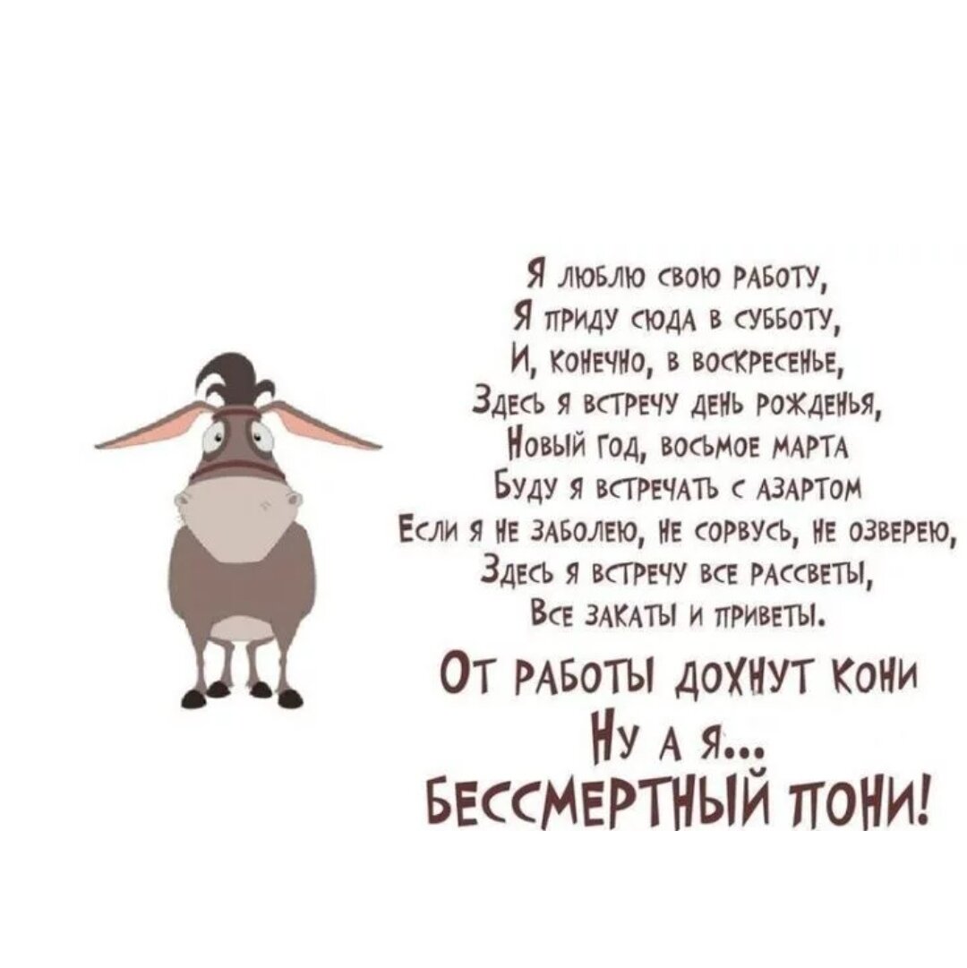 От работы кони дохнут картинки прикольные