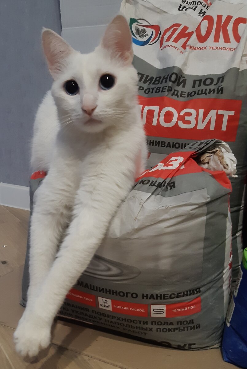 Лучше лежанки и не придумать😺👍