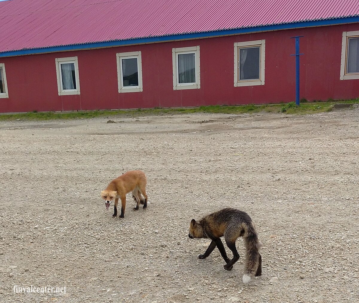 Река замарайка в омске