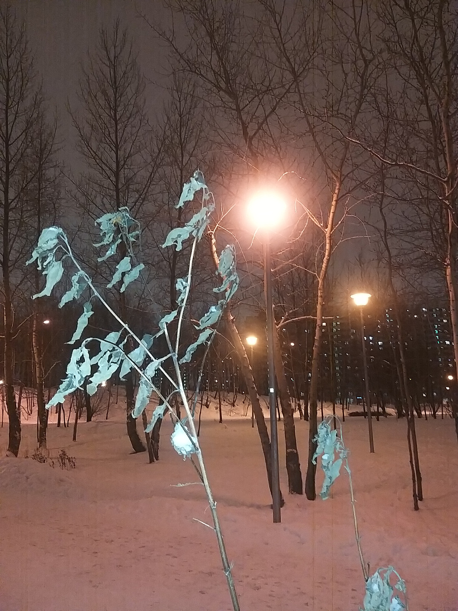 Вечер, зима, фото автора