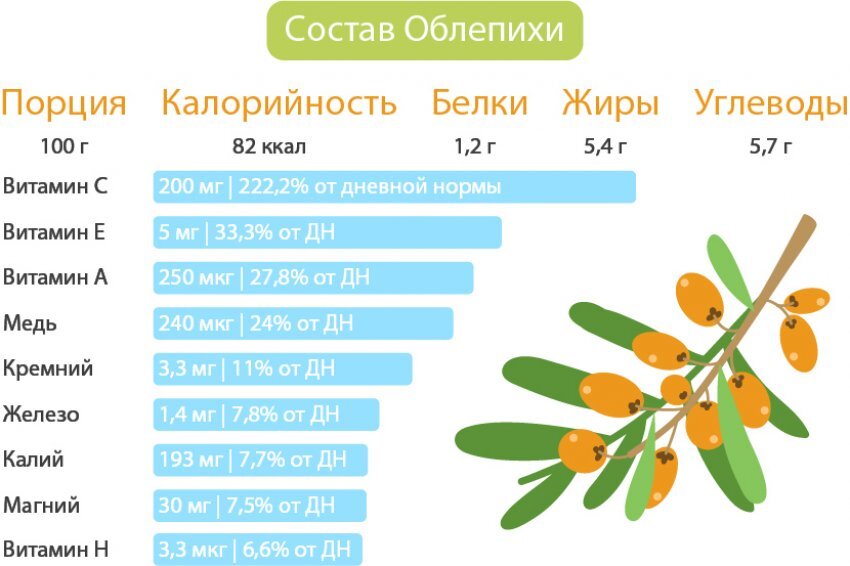 Чем полезна облепиха для организма