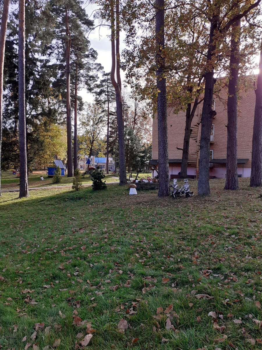 Детская площадка.