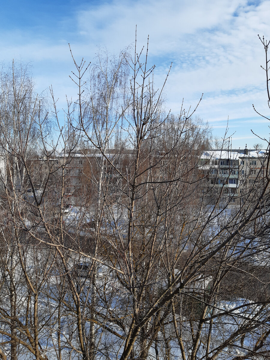 Весна идёт- весне дорогу!