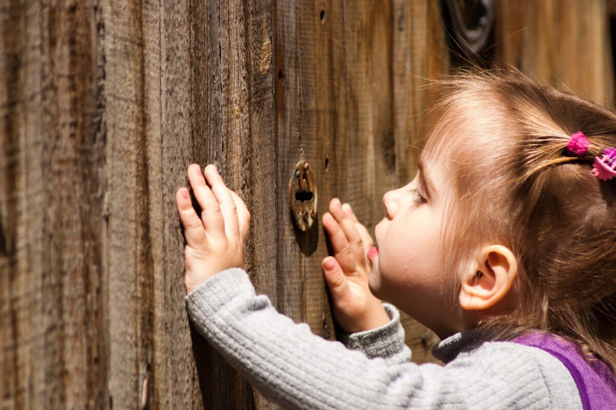 Картинка из открытых источников