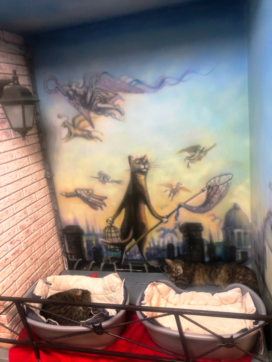 ЛИСТАЙТЕ ГАЛЕРЕЮ!