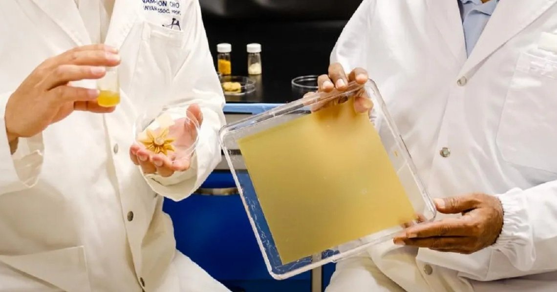 #экология #экологичность #бумага #эксперимент #изобретение 