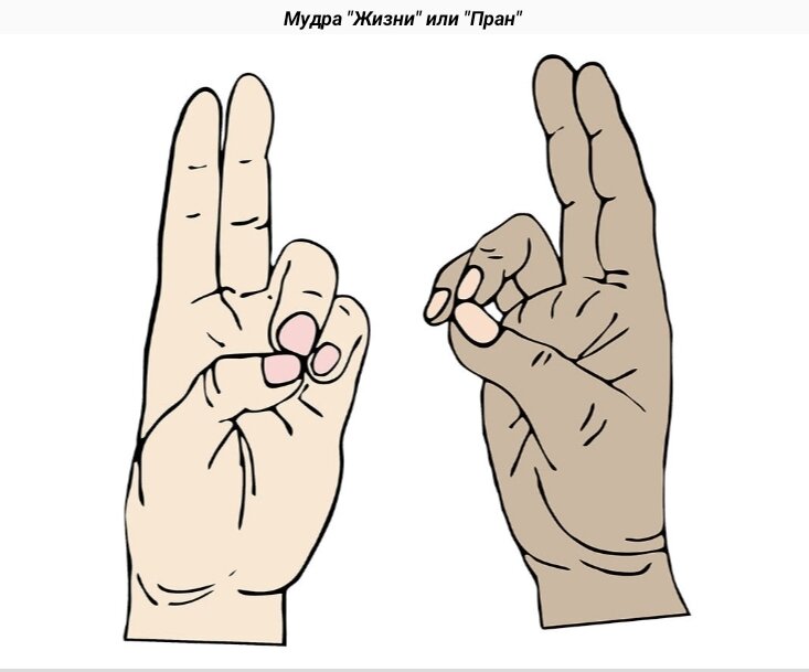 Мудр обозначает мудрый. Притхви мудра. Йога для пальцев исцеляющие мудры. Мудра жизни. Мудры йога для пальцев книга.
