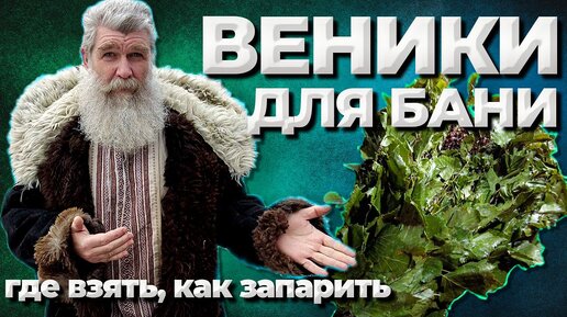 Когда заготавливать веники для бани