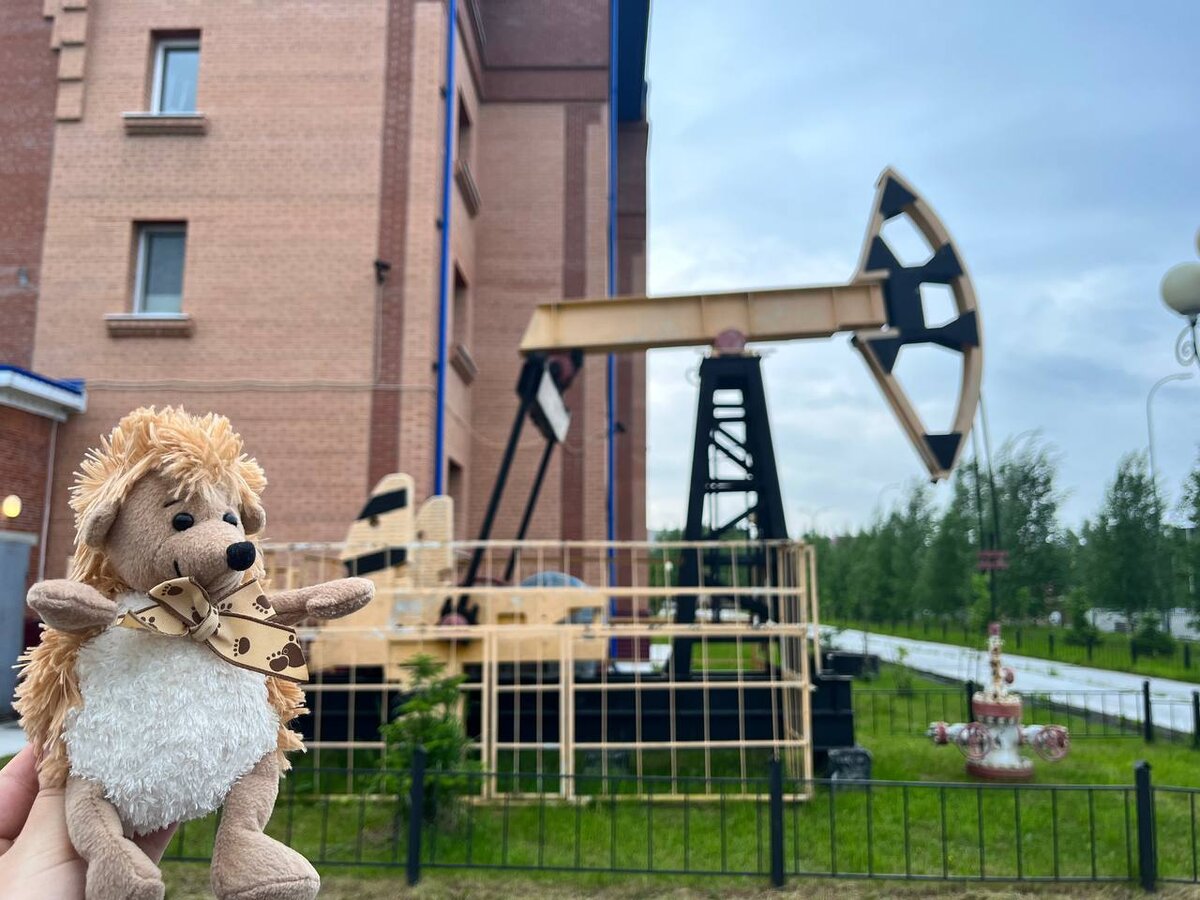 У меня вышка во дворе, вау!