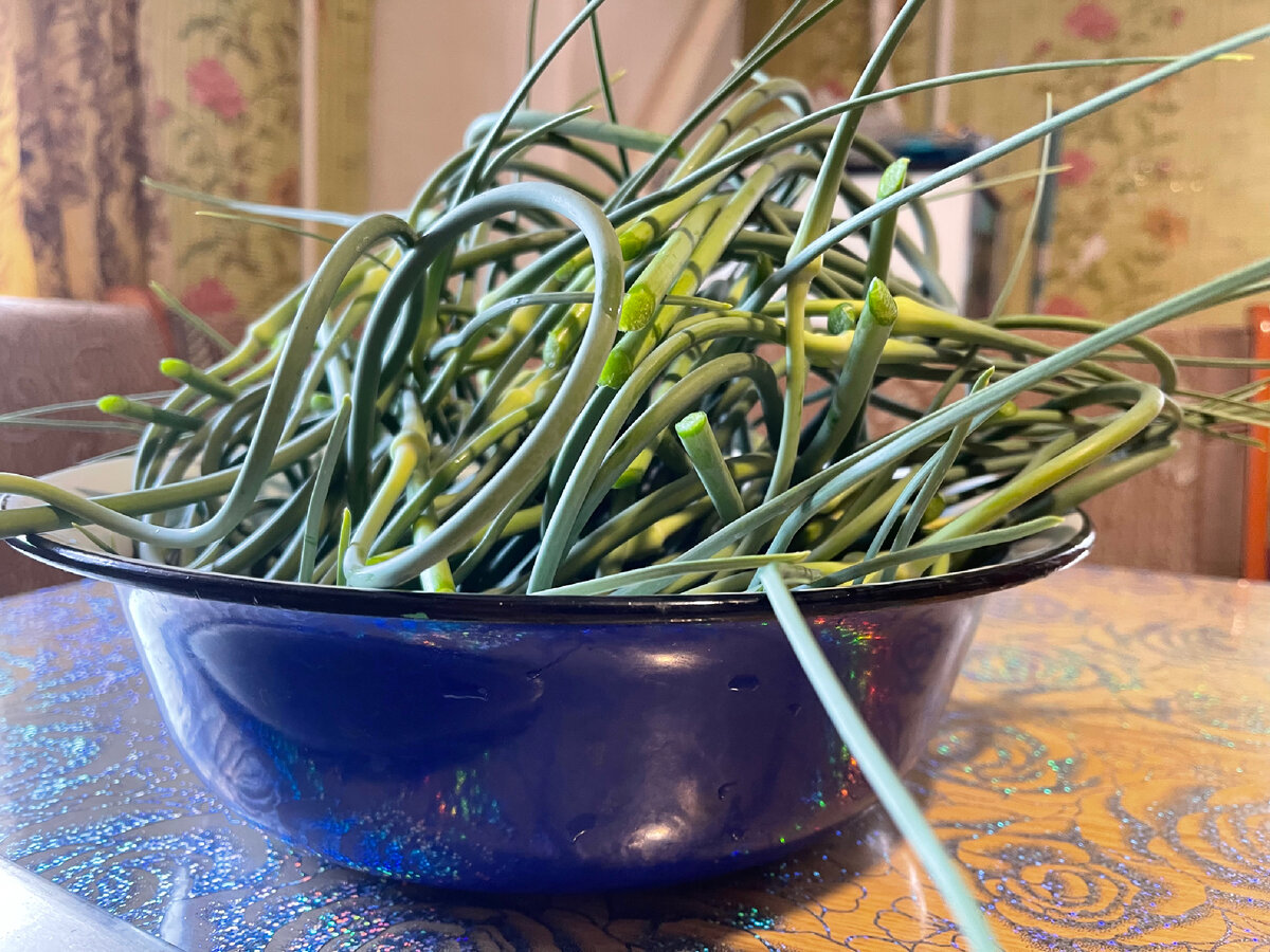 С тех пор, измельчённые стрелки чеснока-самая любимая наша семейная приправа во все блюда 